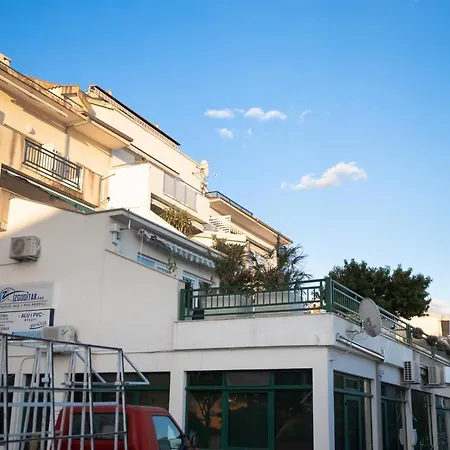 Downtown Olive Makarska